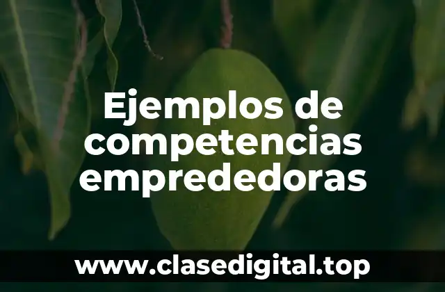 Ejemplos de competencias emprededoras