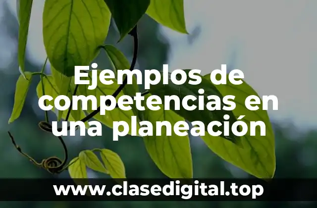 Ejemplos de competencias en una planeación