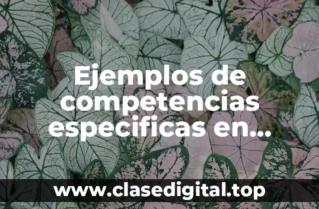 Ejemplos de competencias especificas en enfermeria