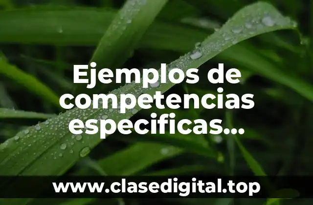 Ejemplos de competencias especificas universidad