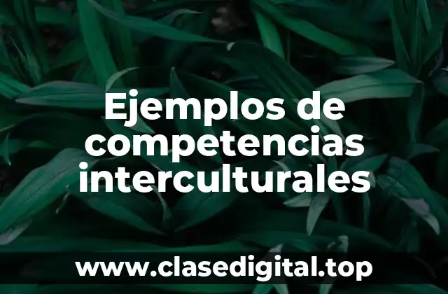 Ejemplos de competencias interculturales