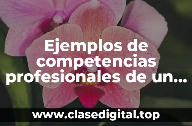 Ejemplos de competencias profesionales de un docente