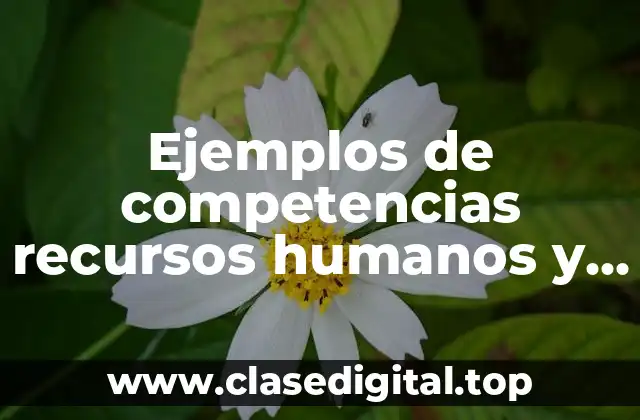 Ejemplos de competencias recursos humanos