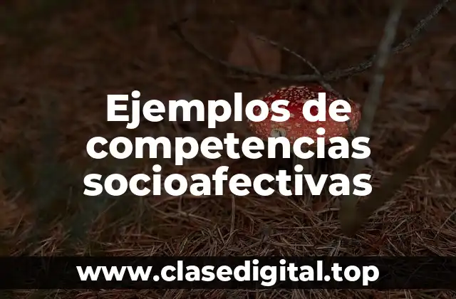Ejemplos de competencias socioafectivas
