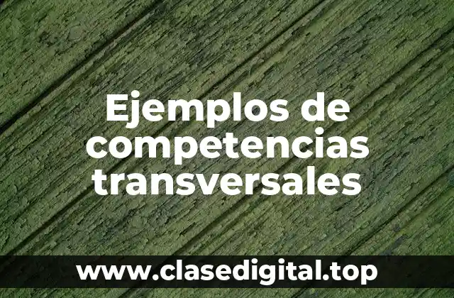 Ejemplos de competencias transversales