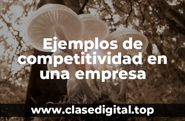 Ejemplos de competitividad en una empresa