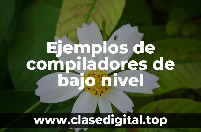 Ejemplos de compiladores de bajo nivel