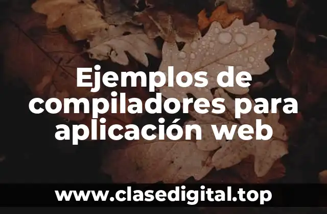 Ejemplos de compiladores para aplicación web