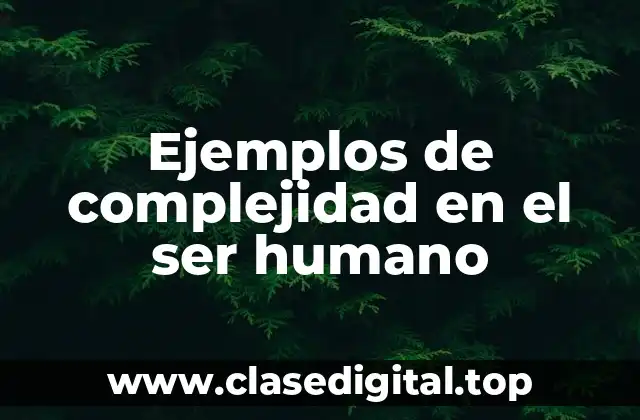 Ejemplos de complejidad en el ser humano