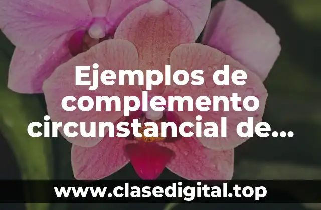 Ejemplos de complemento circunstancial de negación