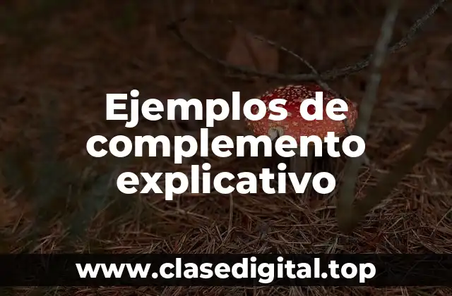 Ejemplos de complemento explicativo