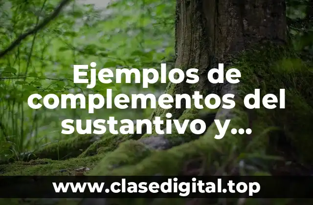 Ejemplos de complementos del sustantivo