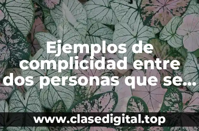 Ejemplos de complicidad entre dos personas que se atraen