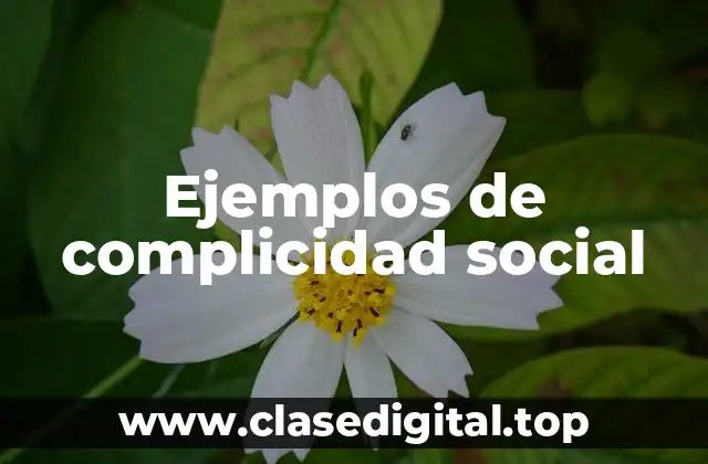 Ejemplos de complicidad social