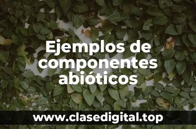 Ejemplos de componentes abióticos