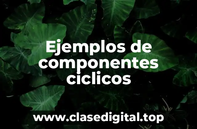 Ejemplos de componentes ciclicos