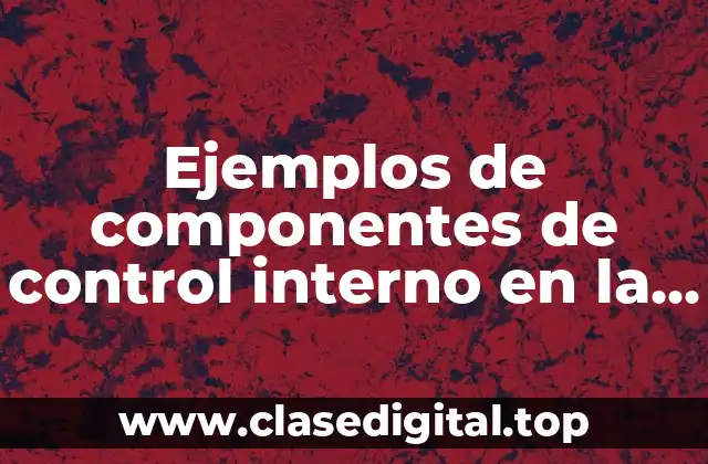 Ejemplos de componentes de control interno en la administración pública