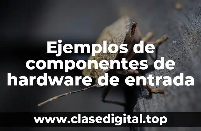 Ejemplos de componentes de hardware de entrada