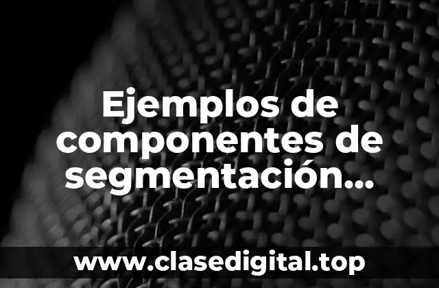 Ejemplos de componentes de segmentación demográficas