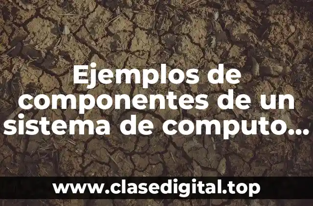 Ejemplos de componentes de un sistema de computo y Significado