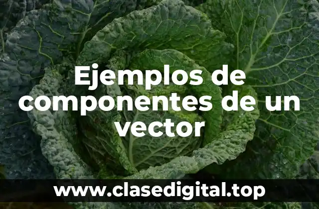 Ejemplos de componentes de un vector