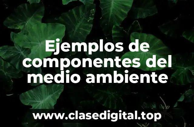 Ejemplos de componentes del medio ambiente