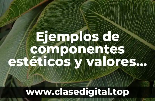 Ejemplos de componentes estéticos y valores formales en diseño