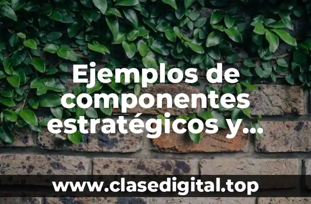 Ejemplos de componentes estratégicos y programáticos de la salud pública