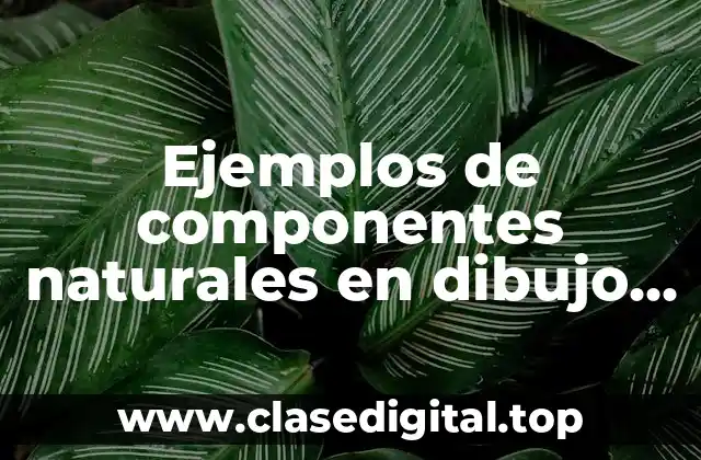 Ejemplos de componentes naturales en dibujo para colorear