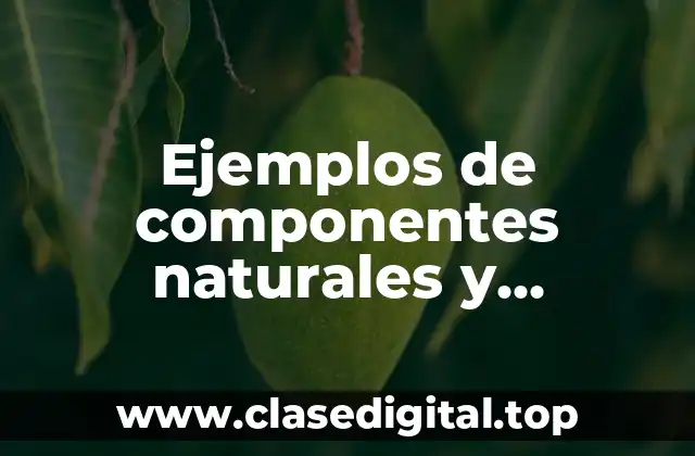 Ejemplos de componentes naturales y artificiales