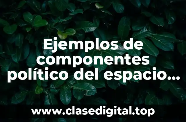 Ejemplos de componentes político del espacio geográfico y Significado