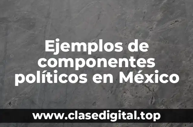 Ejemplos de componentes políticos en México