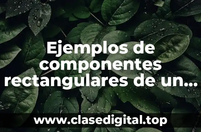 Ejemplos de componentes rectangulares de un vector