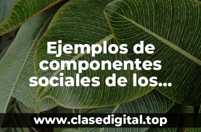 Ejemplos de componentes sociales de los indígenas