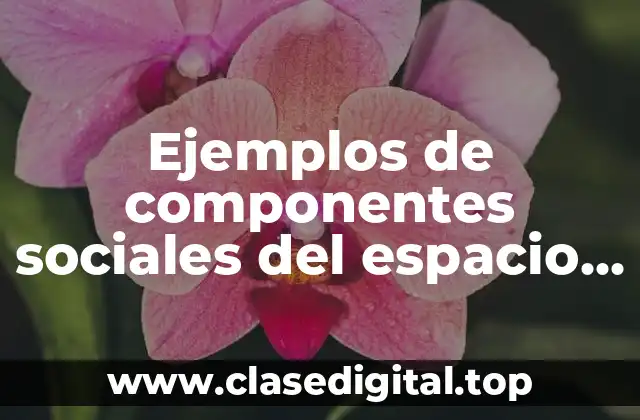 Ejemplos de componentes sociales del espacio geográfico