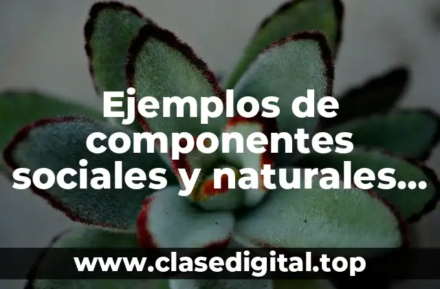 Ejemplos de componentes sociales y naturales del ambiente y Significado