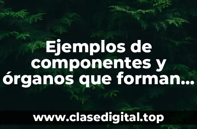 Ejemplos de componentes y órganos que forman las células óseas