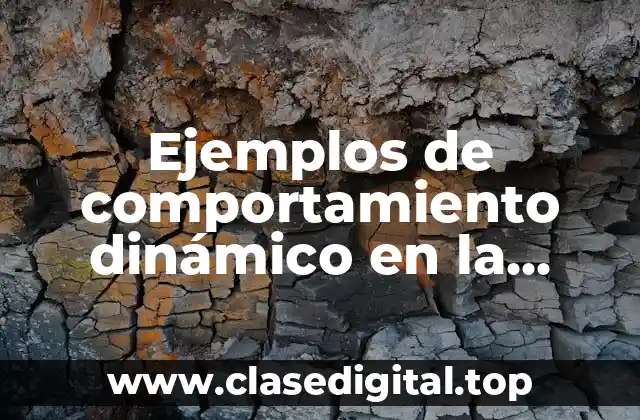 Ejemplos de comportamiento dinámico en la estimulación temprana