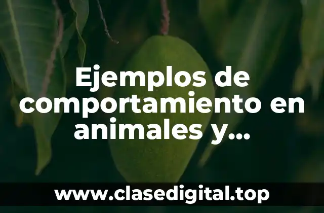 Ejemplos de comportamiento en animales