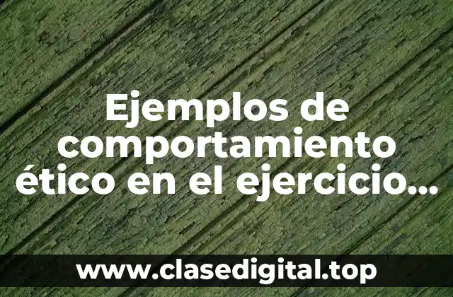 Ejemplos de comportamiento ético en el ejercicio de la ciudadanía