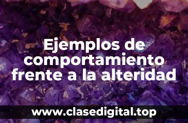 Ejemplos de comportamiento frente a la alteridad
