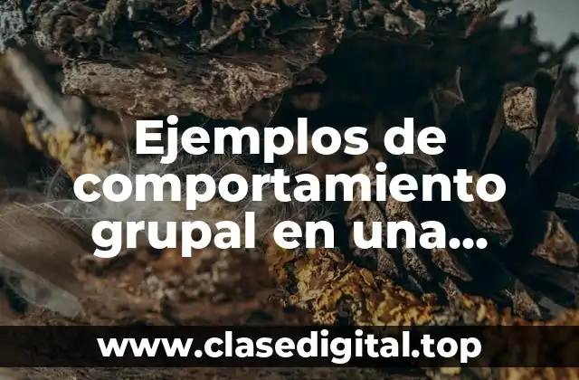 Ejemplos de comportamiento grupal en una empresa