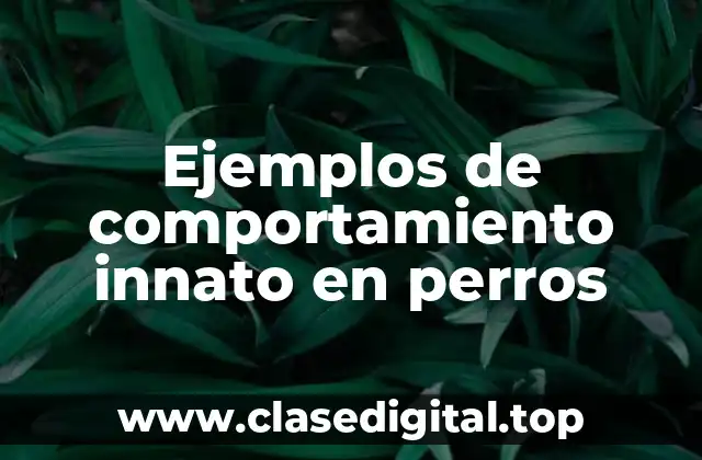 Ejemplos de comportamiento innato en perros