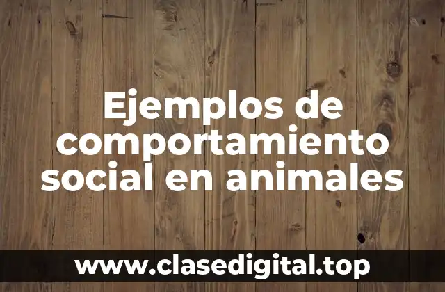 Ejemplos de comportamiento social en animales