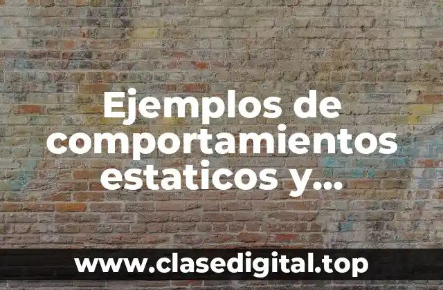 Ejemplos de comportamientos estaticos y dinamicos