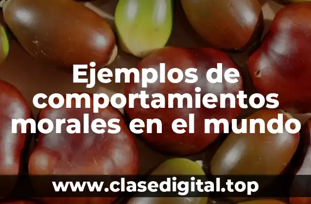 Ejemplos de comportamientos morales