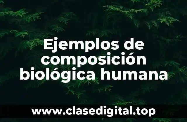 Ejemplos de composición biológica humana