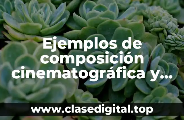 Ejemplos de composición cinematográfica y Significado