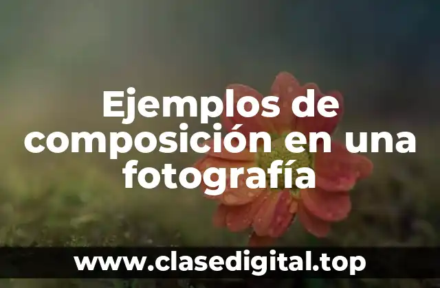 Ejemplos de composición en una fotografía