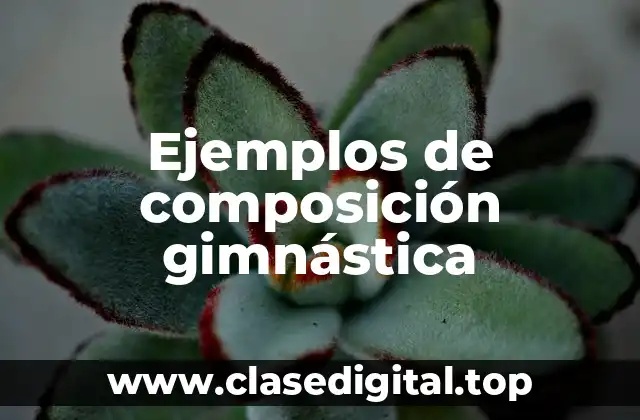 Ejemplos de composición gimnástica